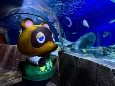 Tom Nook Im SEA LIFE C SEA LIFE